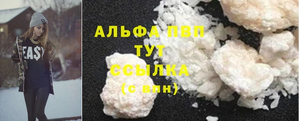 стафф Алзамай