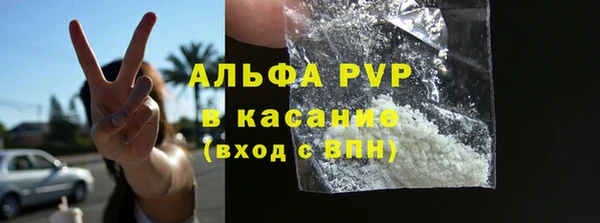 стафф Алзамай