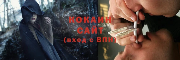 стафф Алзамай