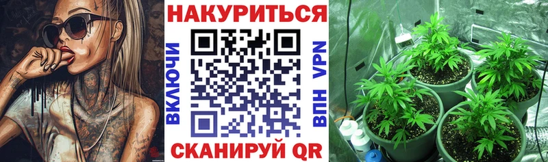 Бошки Шишки ГИДРОПОН Слюдянка